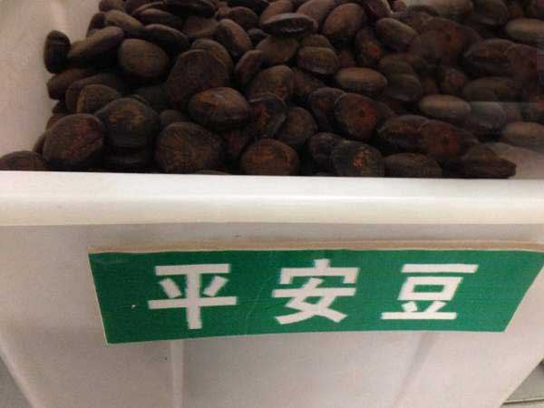 <a href='http://www.hn123.net.cn/linmuzhongzi/2267.html' target='_blank'>平安豆種子</a>圖片