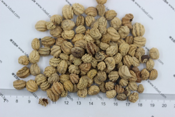 旱金蓮<a href='http://www.hn123.net.cn/' target='_blank'>種子</a>