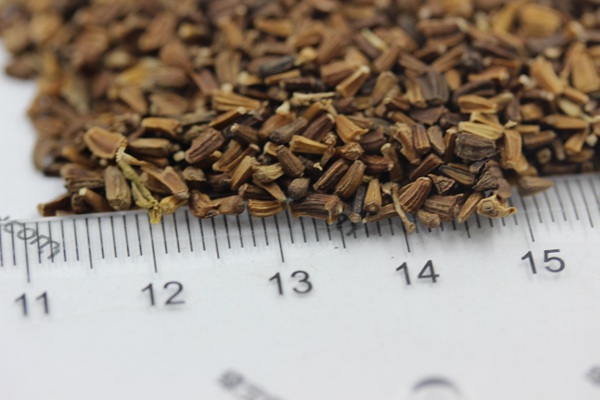 <a href='http://www.hn123.net.cn/caohuazhongzi/1629.html' target='_blank'>茼蒿菊種子</a>