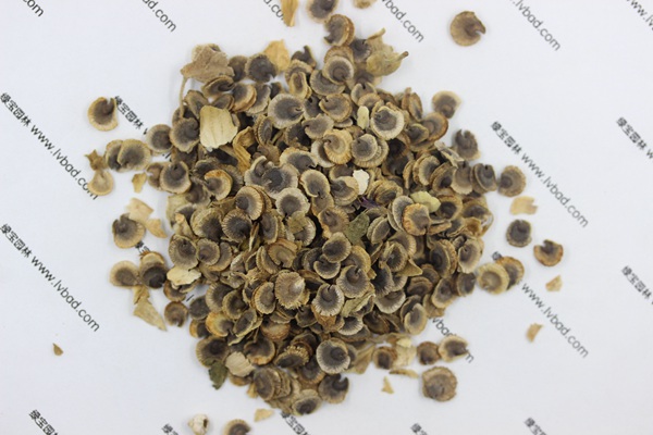 <a href='http://www.hn123.net.cn/caohuazhongzi/1625.html' target='_blank'>蜀葵</a><a href='http://www.hn123.net.cn/' target='_blank'>種子</a>