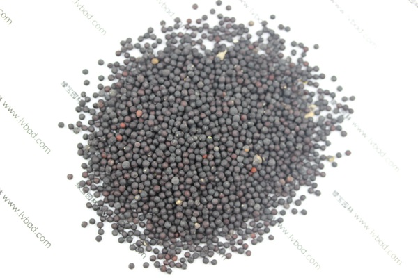 <a href='http://www.hn123.net.cn/caohuazhongzi/1595.html' target='_blank'>滿天星</a><a href='http://www.hn123.net.cn/' target='_blank'>種子</a>