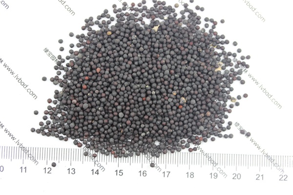 <a href='http://www.hn123.net.cn/caohuazhongzi/1595.html' target='_blank'>滿天星</a><a href='http://www.hn123.net.cn/' target='_blank'>種子</a>