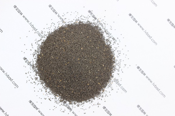 柳穿魚<a href='http://www.hn123.net.cn/' target='_blank'>種子</a>