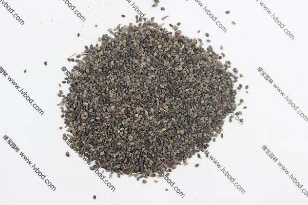 <a href='http://www.hn123.net.cn/caohuazhongzi/1581.html' target='_blank'>留蘭香薄荷種子</a>