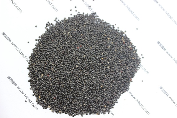 <a href='http://www.hn123.net.cn/caohuazhongzi/1076.html' target='_blank'>雞冠花</a><a href='http://www.hn123.net.cn/' target='_blank'>種子</a>