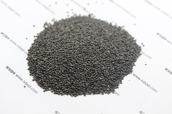 <a href='http://www.hn123.net.cn/caohuazhongzi/1073.html' target='_blank'>火焰雞冠花種子</a>