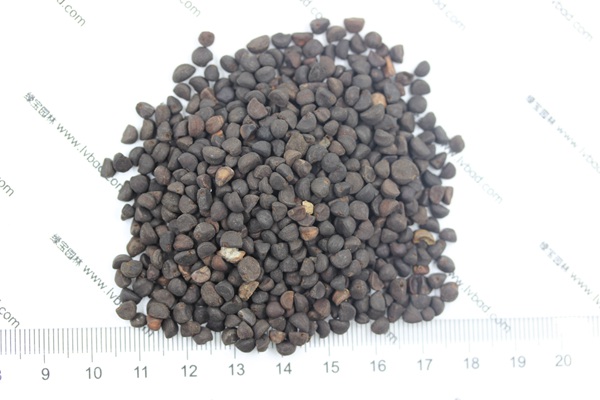 <a href='http://www.hn123.net.cn/caohuazhongzi/1069.html' target='_blank'>黃花牽牛種子</a>
