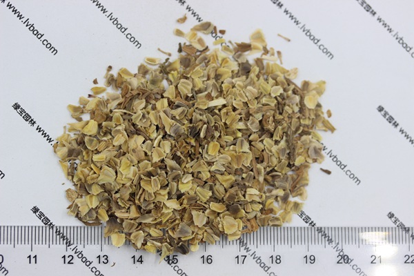 花環(huán)菊<a href='http://www.hn123.net.cn/' target='_blank'>種子</a>
