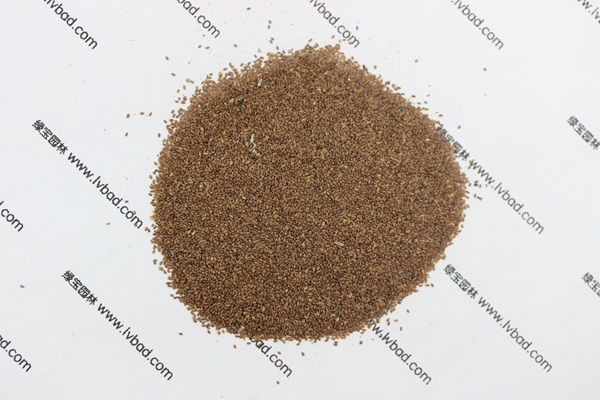 <a href='http://www.hn123.net.cn/caohuazhongzi/1049.html' target='_blank'>風(fēng)鈴花</a><a href='http://www.hn123.net.cn/' target='_blank'>種子</a>