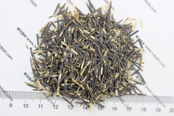 非洲<a href='http://www.hn123.net.cn/caohuazhongzi/1631.html' target='_blank'>萬(wàn)壽菊種子</a>