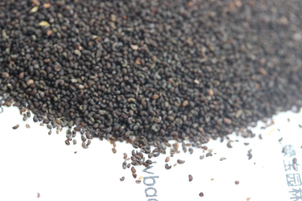 <a href='http://www.hn123.net.cn/caohuazhongzi/1025.html' target='_blank'>冰島虞美人種子</a>