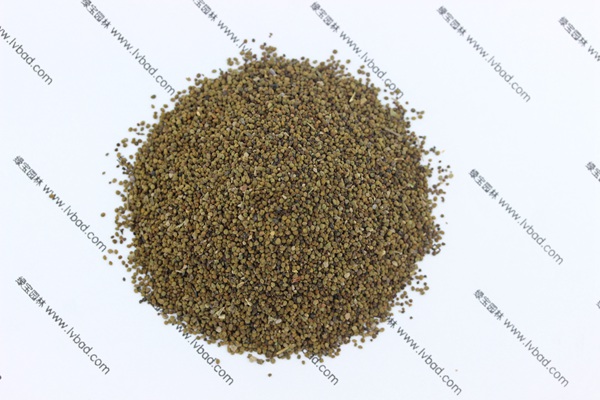 <a href='http://www.hn123.net.cn/caohuazhongzi/1022.html' target='_blank'>半枝蓮</a><a href='http://www.hn123.net.cn/' target='_blank'>種子</a>