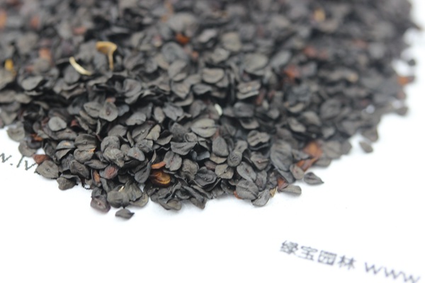 <a href='http://www.hn123.net.cn/caohuazhongzi/1030.html' target='_blank'>常夏石竹種子</a>