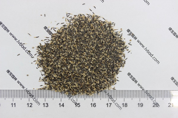 <a href='http://www.hn123.net.cn/caohuazhongzi/1074.html' target='_blank'>藿香薊種子</a>