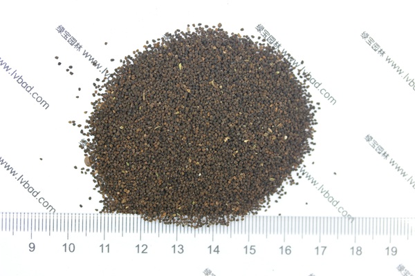 <a href='http://www.hn123.net.cn/caohuazhongzi/1569.html' target='_blank'>金魚草種子</a>