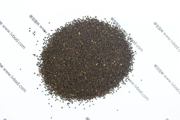 <a href='http://www.hn123.net.cn/caohuazhongzi/1569.html' target='_blank'>金魚草</a><a href='http://www.hn123.net.cn/' target='_blank'>種子</a>