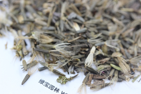 <a href='http://www.hn123.net.cn/caohuazhongzi/1620.html' target='_blank'>蛇鞭菊種子</a>
