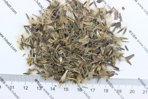 <a href='http://www.hn123.net.cn/caohuazhongzi/1620.html' target='_blank'>蛇鞭菊種子</a>