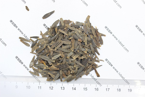 <a href='http://www.hn123.net.cn/caohuazhongzi/1642.html' target='_blank'>小麗花種子</a>