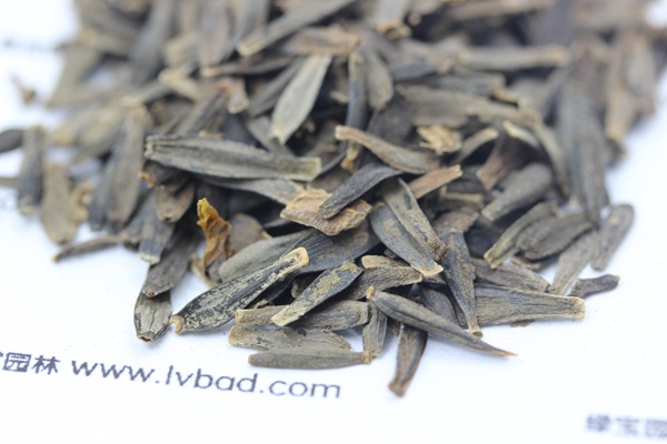 小麗花<a href='http://www.hn123.net.cn/' target='_blank'>種子</a>