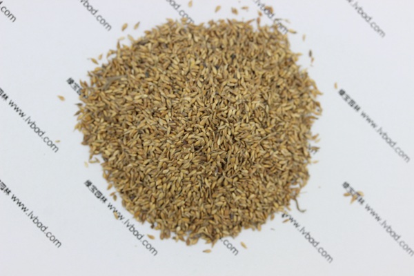 中華<a href='http://www.hn123.net.cn/caopingzhongzi/1671.html' target='_blank'>結(jié)縷草種子</a>