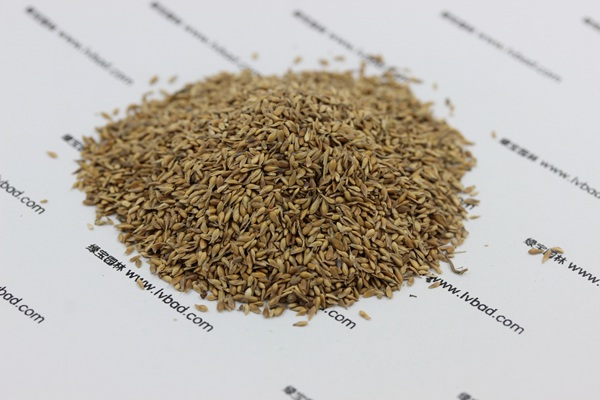 <a href='http://www.hn123.net.cn/caopingzhongzi/1680.html' target='_blank'>中華結(jié)縷草種子</a>