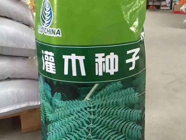 <a href='http://www.hn123.net.cn/linmuzhongzi/2217.html' target='_blank'>車桑子種子</a>
