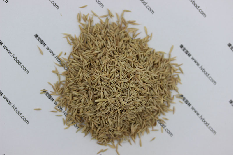<a href='http://www.hn123.net.cn/mucaozhongzi/8.html' target='_blank'>鴨茅草種子</a>