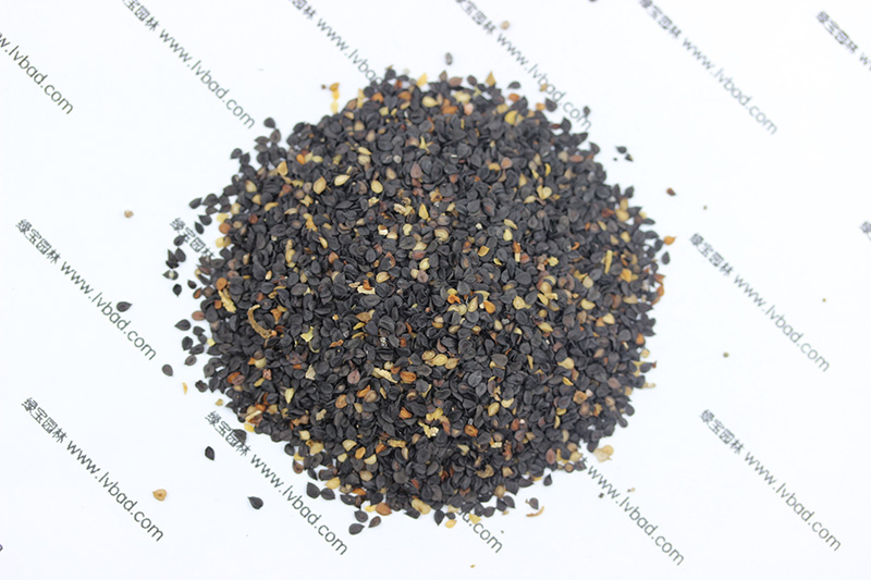 <a href='http://www.hn123.net.cn/caohuazhongzi/97045.html' target='_blank'>石竹</a><a href='http://www.hn123.net.cn/' target='_blank'>種子</a>