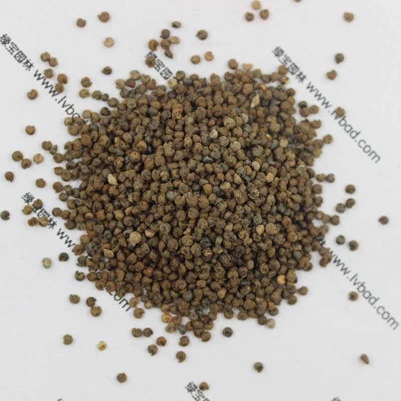 <a href='http://www.hn123.net.cn/caohuazhongzi/1659.html' target='_blank'>醉蝶花種子</a>