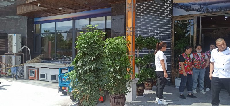 綠植植物室內(nèi)室外綠色植物花卉