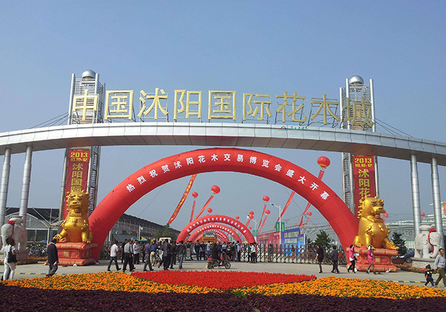 沭陽縣國際花木城2012年前后開業(yè)新的苗木交易市場