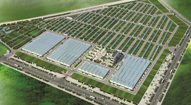 沭陽縣華東花木大世界2022年新建的花木交易市場