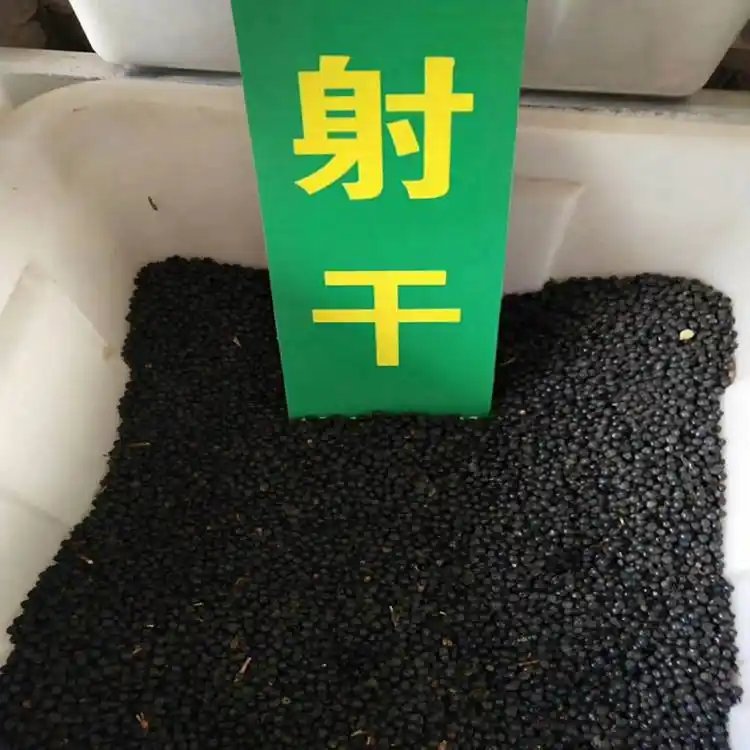 射干苗種子